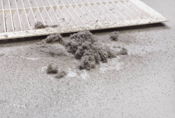 Best Affordable Air Duct Cleaning  in Wilson, NC