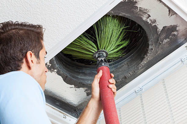 Best Air Duct Cleaning Near Me  in Wilson, NC