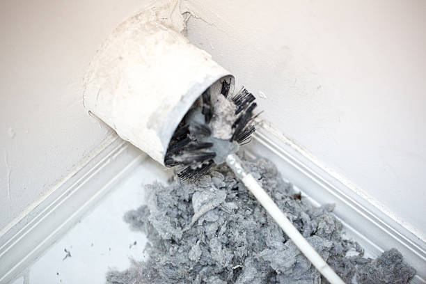 Best Affordable Air Duct Cleaning  in Wilson, NC
