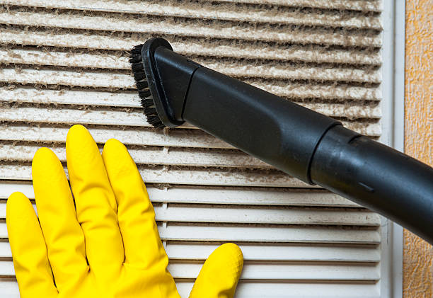 Best Home Air Vent Cleaning  in Wilson, NC